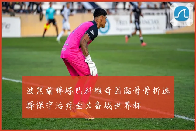 波黑前锋塔巴科维奇因跖骨骨折选择保守治疗全力备战世界杯